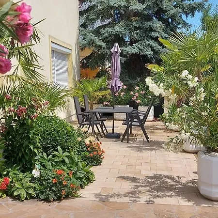 Violetta Vendeghaz アパート ケストヘイ