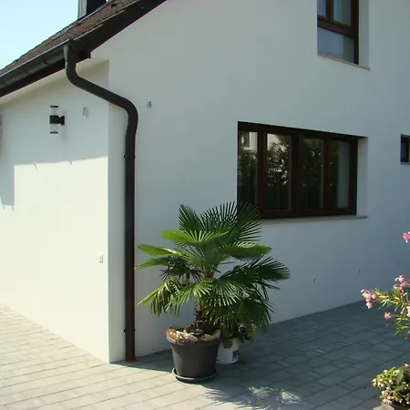 Violetta Vendeghaz アパート ケストヘイ