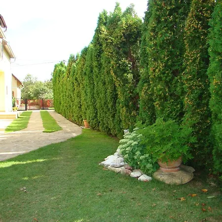 Violetta Vendeghaz * ケストヘイ