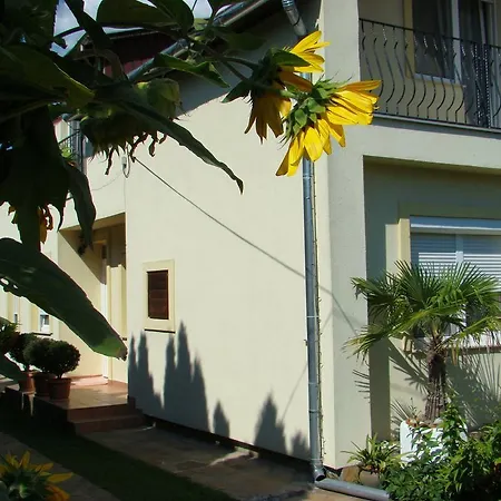 アパート Violetta Vendeghaz ケストヘイ