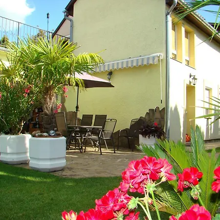 Violetta Vendeghaz ケストヘイ