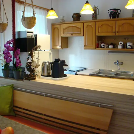 Violetta Vendeghaz * ケストヘイ