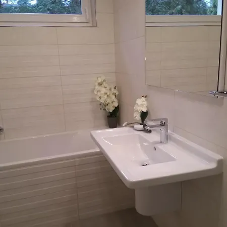 アパート Violetta Vendeghaz ケストヘイ