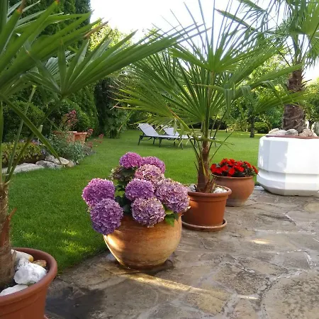 Violetta Vendeghaz アパート