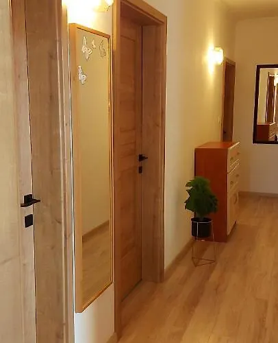 公寓 维奥莱塔文德汉斯公寓 *