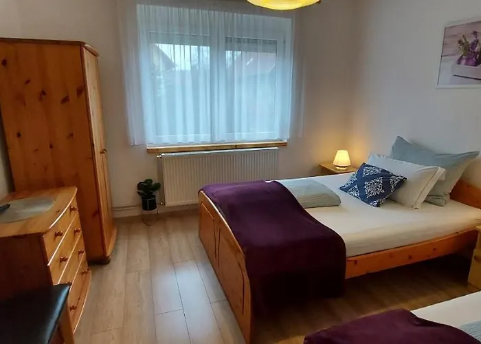 公寓 维奥莱塔文德汉斯公寓 *