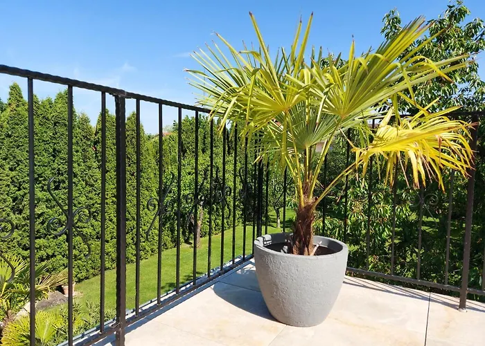 公寓 维奥莱塔文德汉斯公寓 *