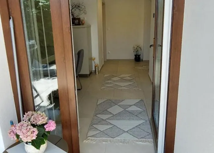 公寓 维奥莱塔文德汉斯公寓 *