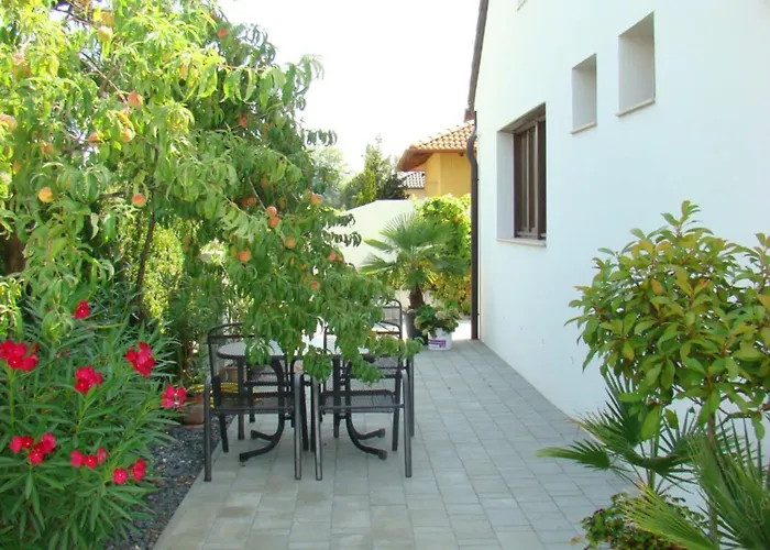 公寓 维奥莱塔文德汉斯公寓 *