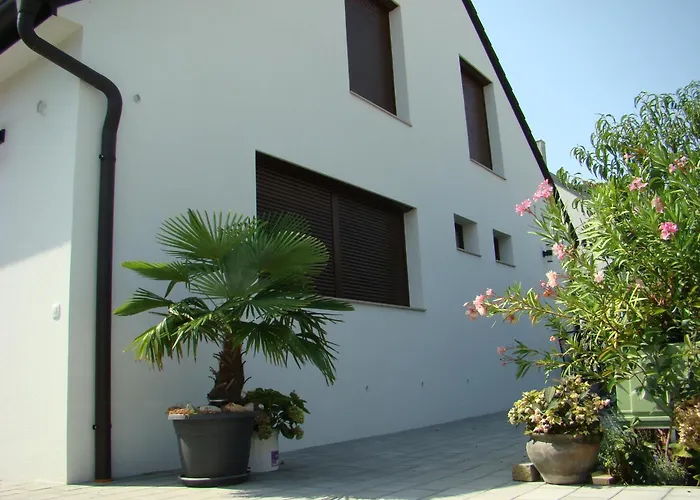 维奥莱塔文德汉斯公寓 凯斯特海伊