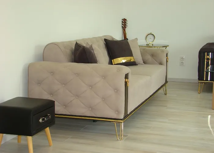 维奥莱塔文德汉斯公寓 公寓 *