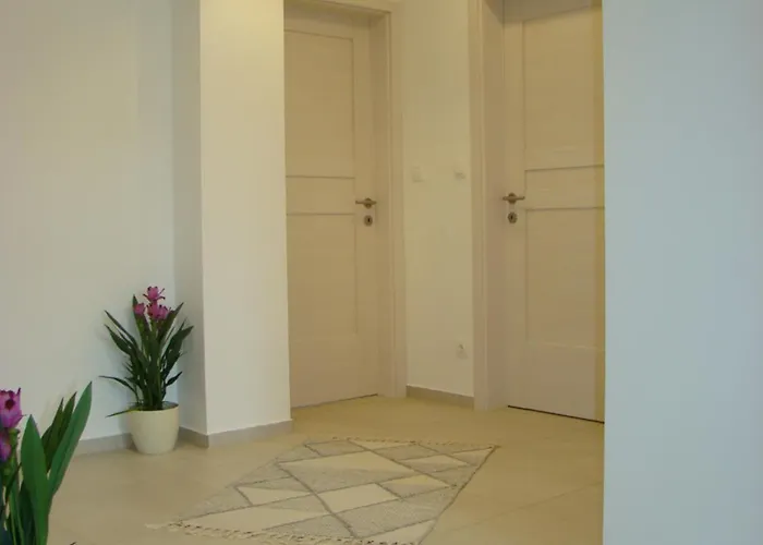 维奥莱塔文德汉斯公寓 *