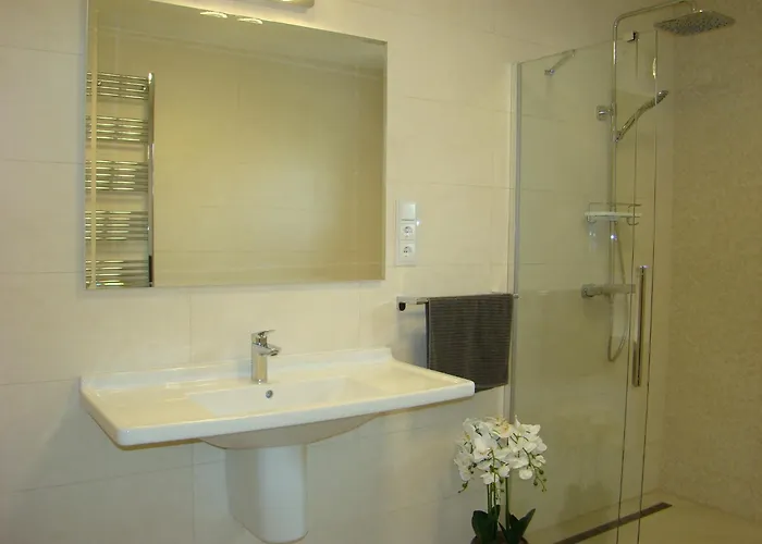 公寓 维奥莱塔文德汉斯公寓 *