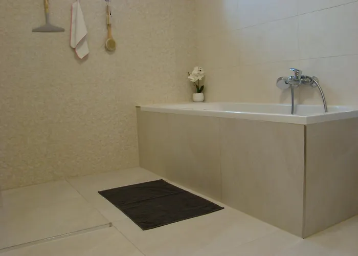 维奥莱塔文德汉斯公寓 凯斯特海伊