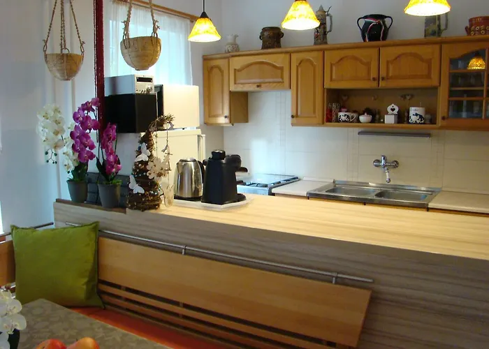 维奥莱塔文德汉斯公寓 * 凯斯特海伊