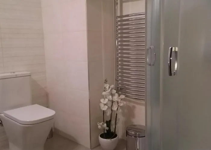 维奥莱塔文德汉斯公寓 公寓